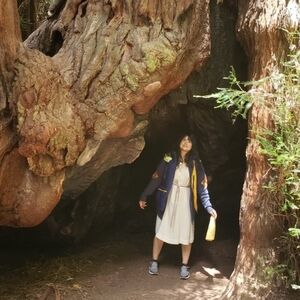 Meet your Posher, Katze